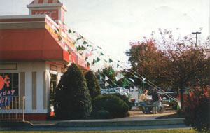 Pennant Flags