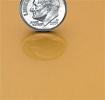 Polished Gold Anodized