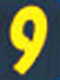 Day Glo Yellow