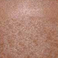 Cedar