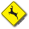 Deer Crossing W11-3