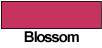 Blossom 9415
