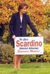 Yard Signs