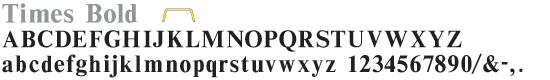 8 inch Times Bold Plastic Building Letter font