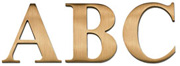6 inch Times Bold Cast Metal Letter