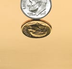 Polished Bronze