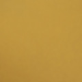 gold powdercoat