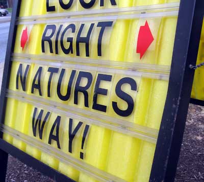 Flex Change Sign Letters