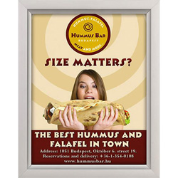 8.5 x 11 Slide-in Sign Frame