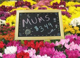 Small Chalkboard Sign, 12W x 8H, Smooth Veneer Coated, Streak Free
