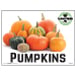 Pumpkins For Sale Yard Signs | Visible Double Sided