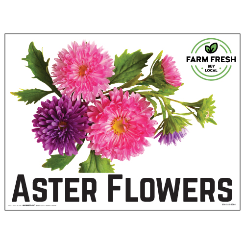 Aster Sign Aster Flowers Yard Signs | Visible Double Sided | CS4076