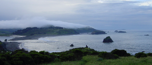 timber cove california