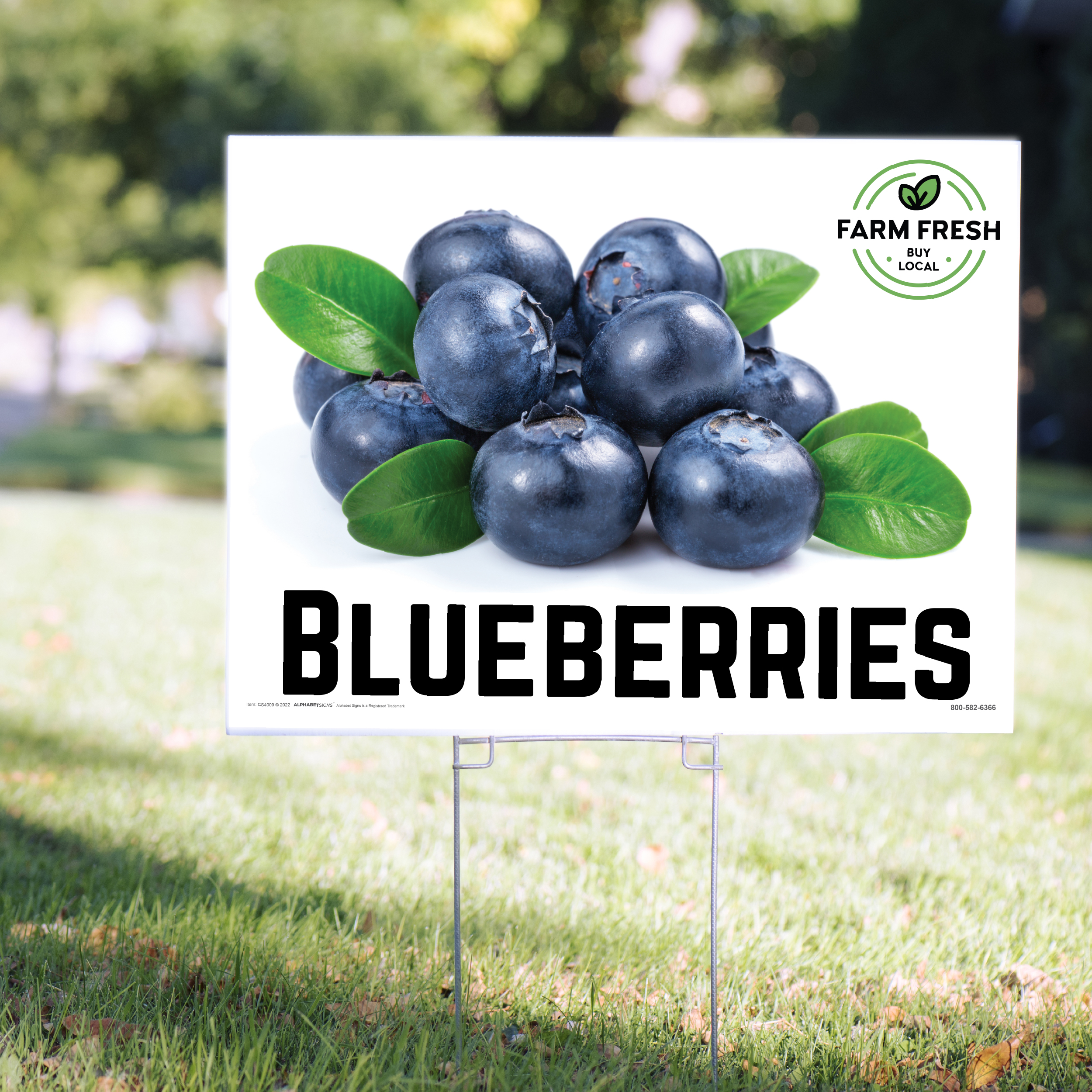 Fruit Works Blue Raspberry Sign Blueberries Yard Signs