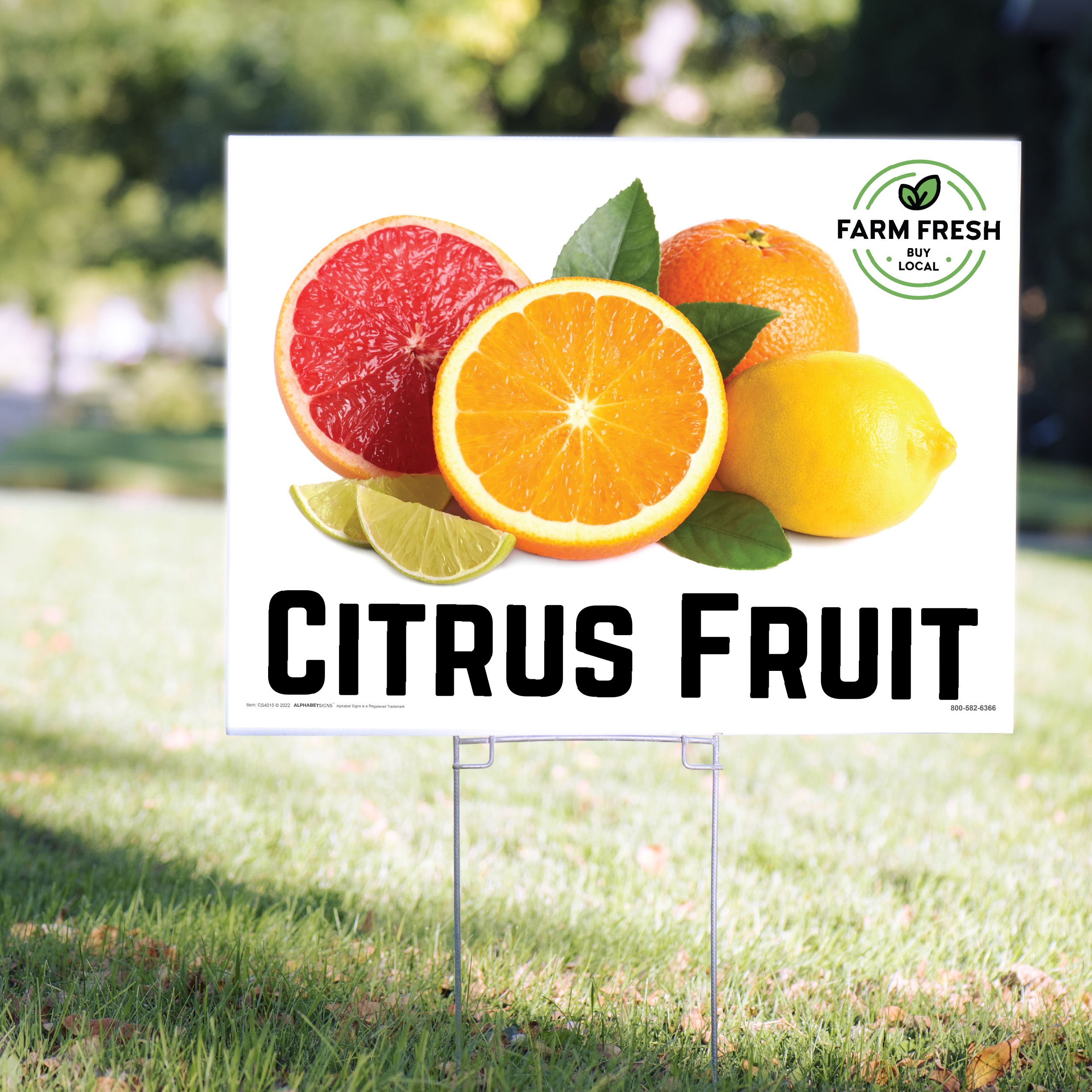 Citrus Yard Signs