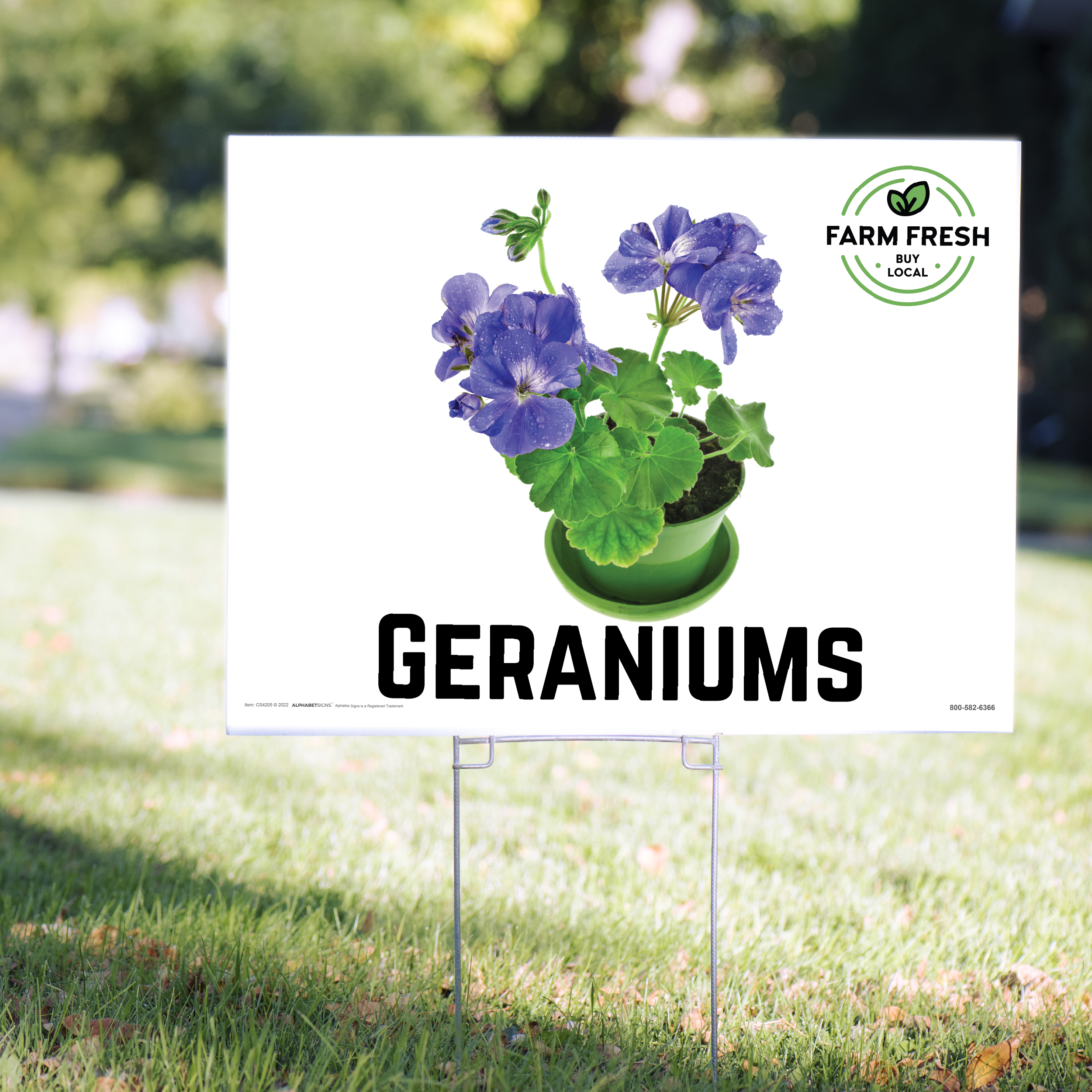 Geranium Yard Signs