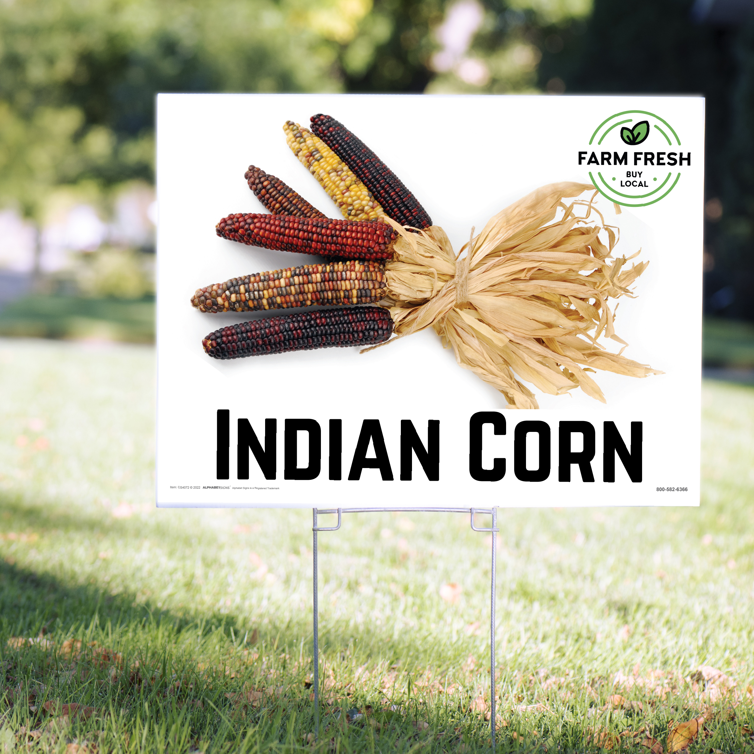 Indian Corn Yard Signs